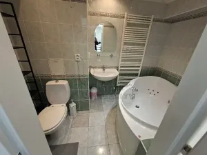 Pronájem bytu 1+1, Praha - Braník, Na Mlejnku, 41 m2