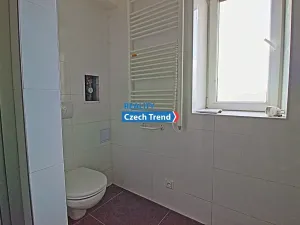 Pronájem bytu 1+kk, Velký Týnec, Grygovská, 30 m2