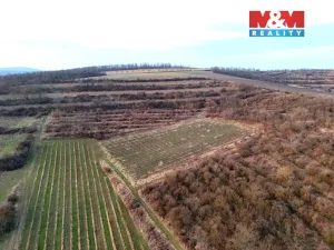 Prodej pole, Sedlec, 9215 m2