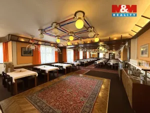 Pronájem ubytování, Vysoké nad Jizerou, Lyžařská, 3200 m2