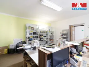 Pronájem skladu, Plzeň - Severní Předměstí, Karlovarská, 427 m2