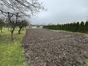 Prodej zahrady, Říkovice, 730 m2