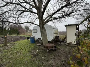 Prodej zahrady, Říkovice, 730 m2