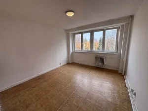 Pronájem bytu 1+kk, Ostrava - Hrabůvka, Krakovská, 21 m2