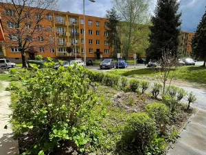 Pronájem bytu 1+kk, Ostrava - Hrabůvka, Krakovská, 21 m2