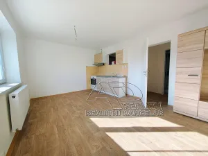 Pronájem atypického bytu, České Budějovice, 44 m2