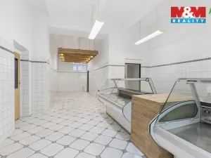 Prodej obchodního prostoru, Louny, Husova, 744 m2