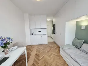 Pronájem bytu 1+kk, Pardubice - Zelené Předměstí, Palackého třída, 21 m2
