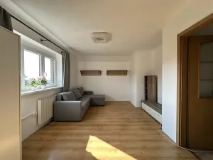 Pronájem bytu 1+1, Velké Hamry, 41 m2