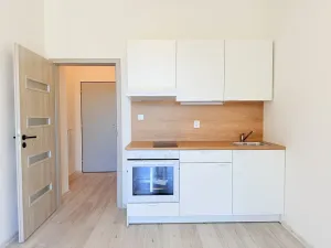 Pronájem bytu 2+kk, Milovice - Mladá, Slepá, 31 m2