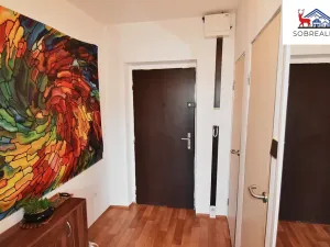 Prodej bytu 1+kk, Teplice, Opavská, 33 m2