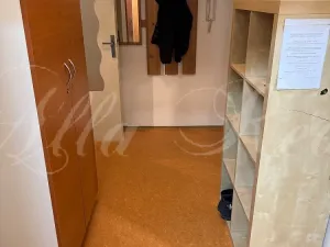 Pronájem bytu 2+1, Brno - Černovice, Tržní, 60 m2