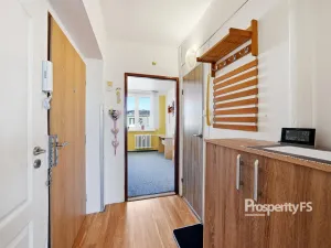 Prodej bytu 4+kk, Litoměřice - Předměstí, Družstevní, 64 m2