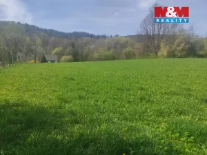 Prodej pozemku pro bydlení, Velké Losiny, 2846 m2