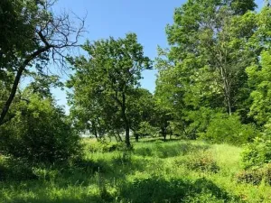 Prodej zahrady, Dalovice, 5231 m2