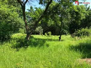 Prodej zahrady, Dalovice, 5231 m2