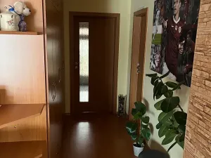 Prodej rodinného domu, Netín, 180 m2