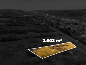 Prodej komerčního pozemku, Lípa, 2603 m2