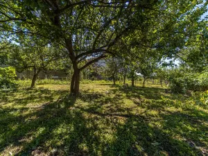 Prodej rodinného domu, Vnorovy - Lidéřovice, Dražka, 154 m2