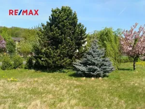 Prodej pozemku pro bydlení, Mikulovice, 1350 m2