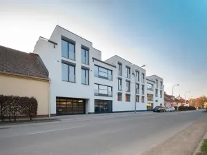 Pronájem bytu 1+kk, Brno, U zoologické zahrady, 32 m2