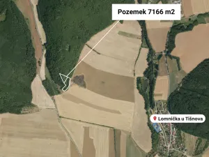 Prodej lesa, Lomnička, 7166 m2