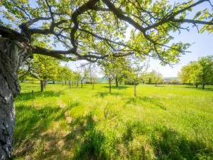 Prodej pozemku pro bydlení, Bučovice, Náhorní, 7851 m2