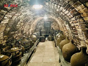 Prodej vinného sklepa, Kyjov, 22 m2