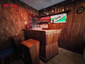 Prodej komerční nemovitosti, Kyjov, 60 m2