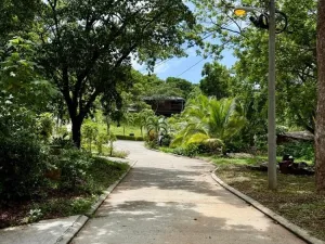 Prodej bytu 3+kk, Coxen Hole, Roatán, Honduras, 111 m2