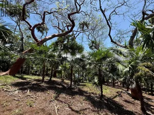 Prodej pozemku, Coxen Hole, Roatán, Honduras, 1902 m2
