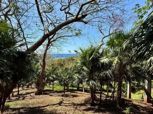Prodej pozemku, Coxen Hole, Roatán, Honduras, 1902 m2