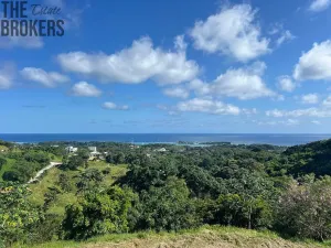 Prodej pozemku, Coxen Hole, Roatán, Honduras, 570 m2