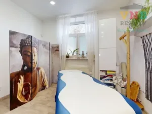 Prodej komerční nemovitosti, Prostějov, Sokolská, 205 m2