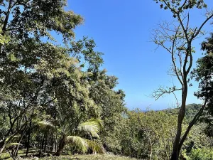 Prodej pozemku, Coxen Hole, Roatán, Honduras, 1884 m2