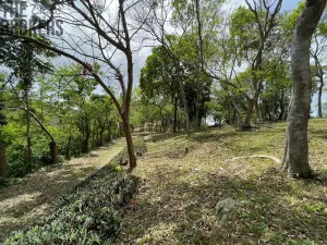 Prodej pozemku, Coxen Hole, Roatán, Honduras, 2400 m2