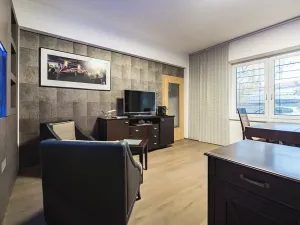 Prodej bytu 1+kk, Praha - Žižkov, U staré cihelny, 41 m2