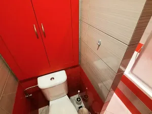 Pronájem bytu 2+1, Litoměřice, Vrchlického, 52 m2