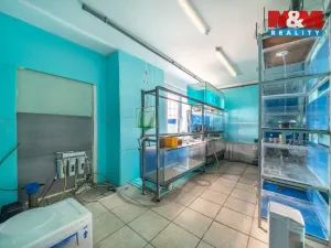 Prodej bytu 3+kk, Skořice, 73 m2