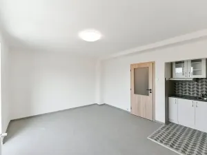 Pronájem bytu 1+kk, Praha - Vinohrady, náměstí Jiřího z Lobkovic, 29 m2