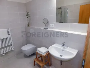 Pronájem bytu 2+kk, Plzeň, Hřímalého, 75 m2