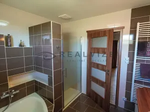 Prodej rodinného domu, Borovany, 237 m2