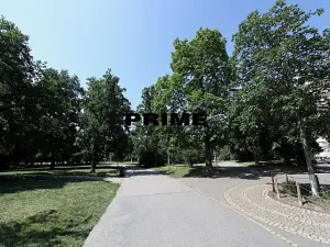 Pronájem bytu 4+1, Praha - Vinohrady, Anny Letenské, 160 m2