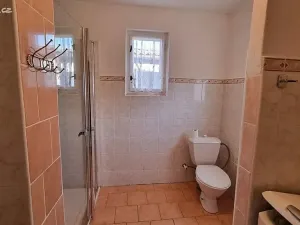 Prodej rodinného domu, Staré Hradiště, U Špejcharu, 350 m2