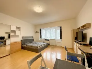 Prodej bytu 1+kk, Praha - Žižkov, Jičínská, 38 m2