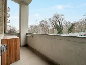 Prodej bytu 1+kk, Praha - Žižkov, Jičínská, 38 m2