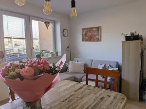 Prodej bytu 2+kk, Brno, Sedláčkova, 49 m2