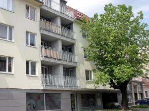 Prodej garážového stání, Brno, Rostislavovo náměstí, 11 m2