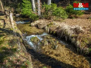 Prodej rodinného domu, Desná - Desná III, Polubenská, 248 m2