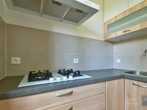 Pronájem bytu 3+1, Ústí nad Labem, Hilarova, 74 m2